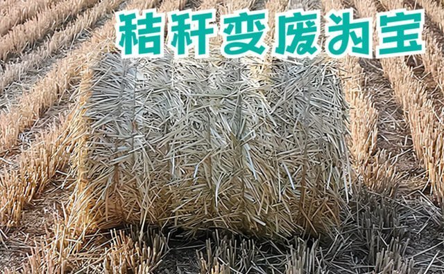 有5點(diǎn)秸稈處理措施活躍在市場(chǎng)上